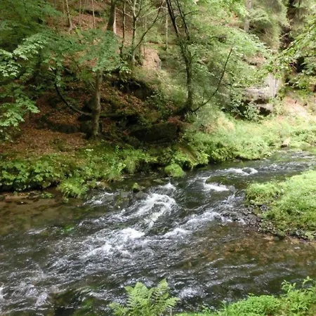 Verspielter Saechsischer Rueckzugsort *