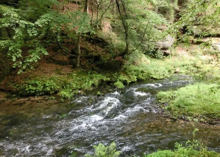 Verspielter Saechsischer Rueckzugsort *